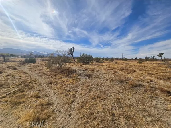 0 263rd RD, Pinon Hills, CA 92372