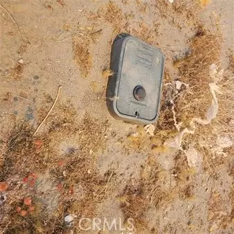 Pinon Hills, CA 92372,1595 La Mesa RD