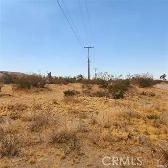 Pinon Hills, CA 92372,1590 Saratoga RD