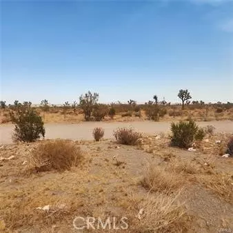 1590 Saratoga RD, Pinon Hills, CA 92372