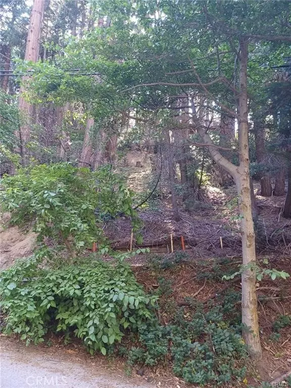 Lake Arrowhead, CA 92352,0 Lake DR