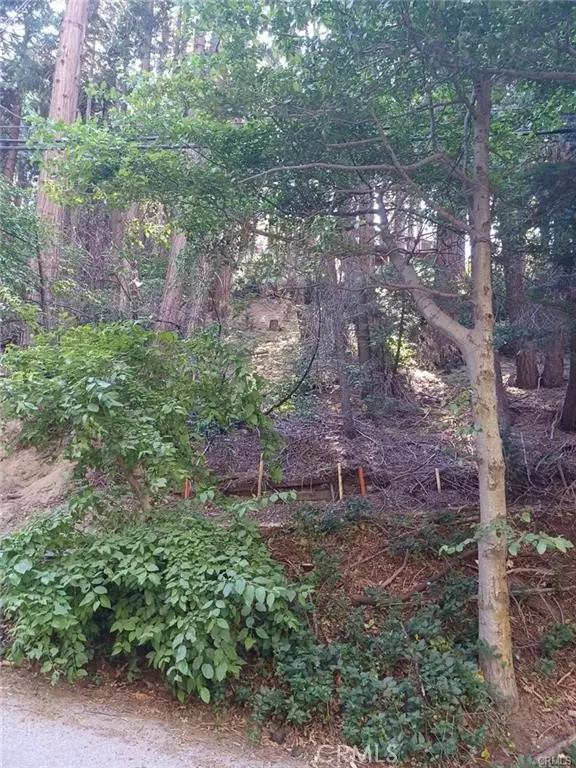 Lake Arrowhead, CA 92352,0 Lake DR