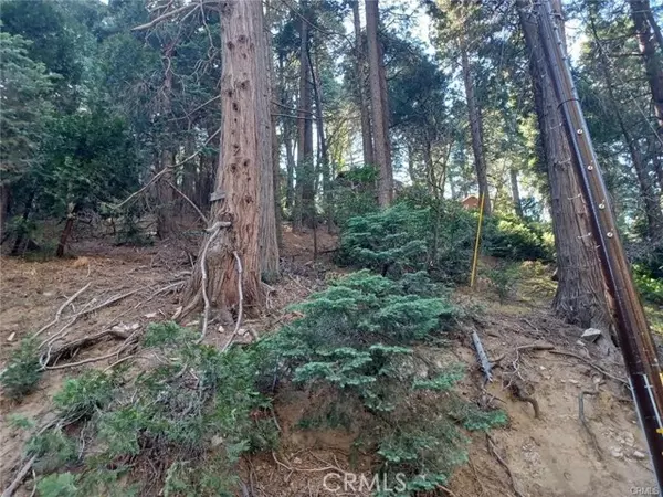 Lake Arrowhead, CA 92352,0 Lake DR