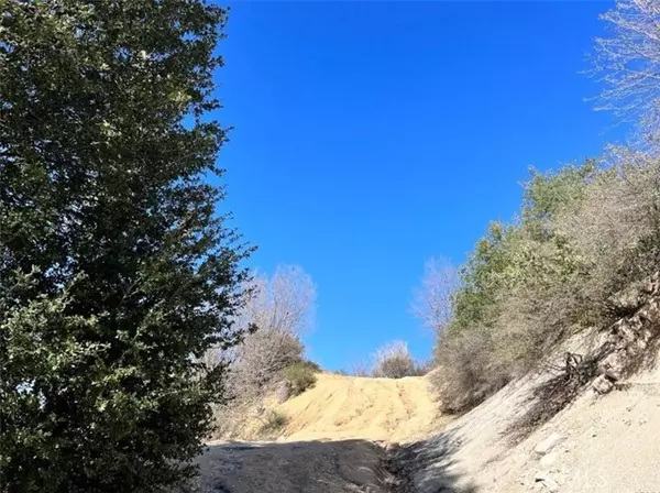 Cedar Glen, CA 92321,0 Coulter