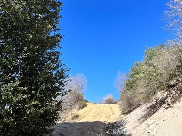 Cedar Glen, CA 92321,0 Coulter