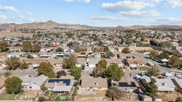 Rosamond, CA 93560,2024 Phlox