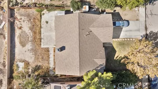 Rosamond, CA 93560,2024 Phlox