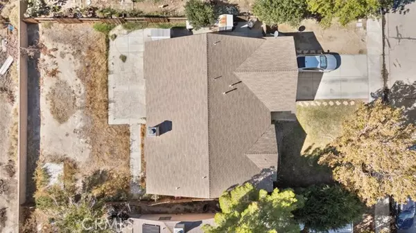 Rosamond, CA 93560,2024 Phlox