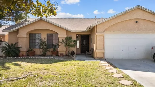 Rosamond, CA 93560,2024 Phlox