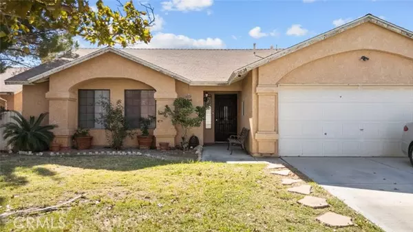 Rosamond, CA 93560,2024 Phlox