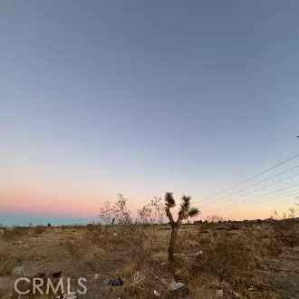 0 Danbury, Pinon Hills, CA 92372