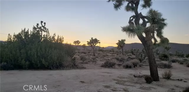 Yucca Valley, CA 92284,1234 Canton ST