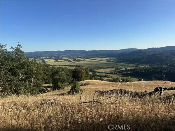 Willits, CA 95490,25996 String Creek RD