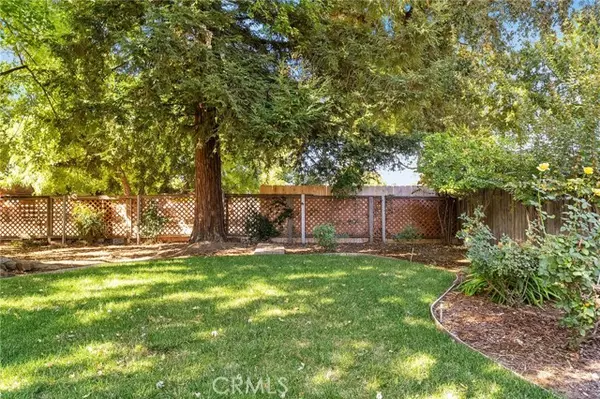 Chico, CA 95973,3019 Sandi DR