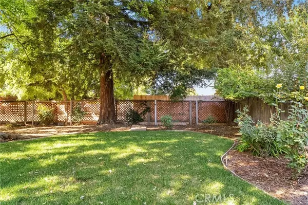 Chico, CA 95973,3019 Sandi DR