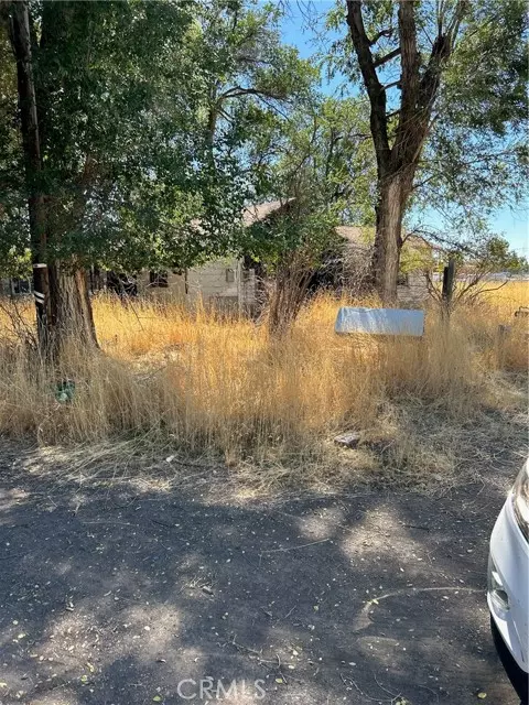 Alturas, CA 96101,900 Maple