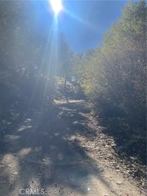 Cedar Glen, CA 92321,0 Acacia RD