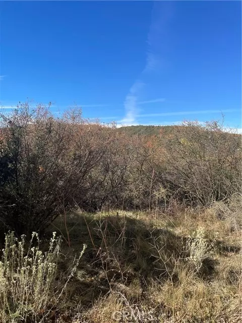 Cedar Glen, CA 92321,0 Acacia RD