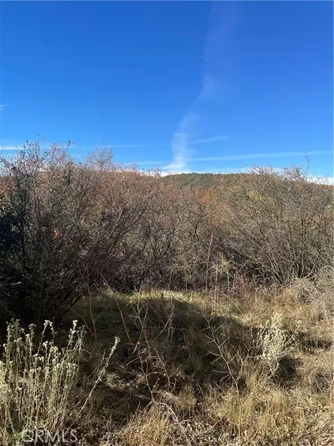 0 Acacia RD, Cedar Glen, CA 92321