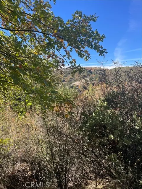 Cedar Glen, CA 92321,0 Acacia RD