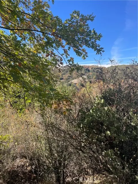 Cedar Glen, CA 92321,0 Acacia RD