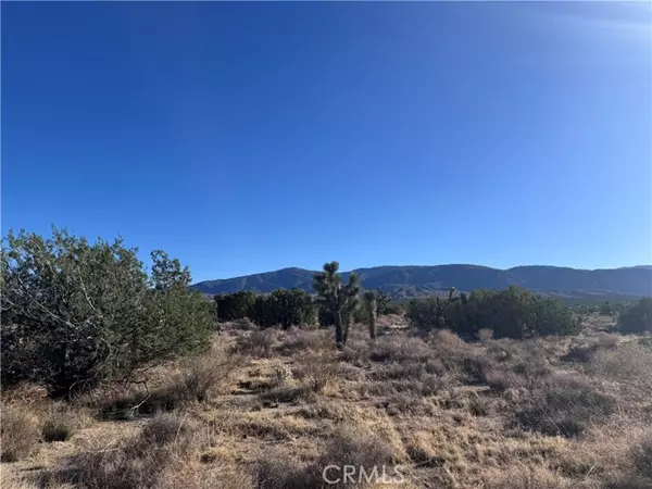 Llano, CA 93544,0 Vac/Antelope