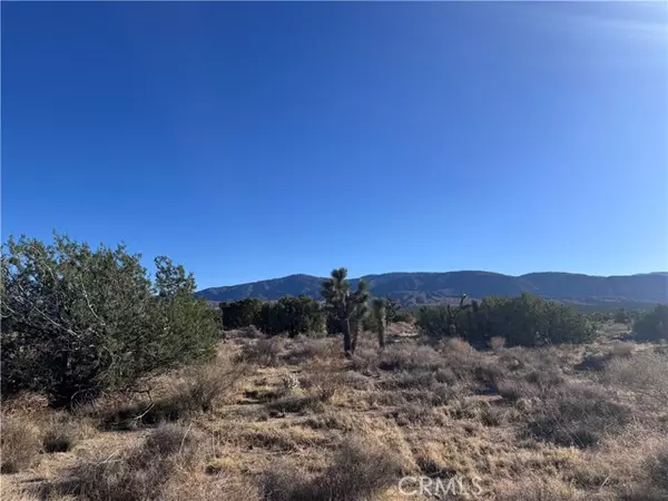 Llano, CA 93544,0 Vac/Antelope