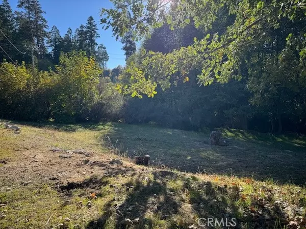 Cedar Glen, CA 92321,430 Alder LN