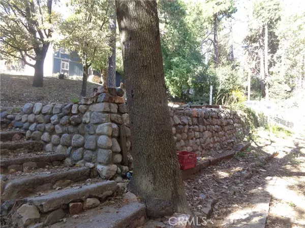 Crestline, CA 92325,1021 Coulter Pine