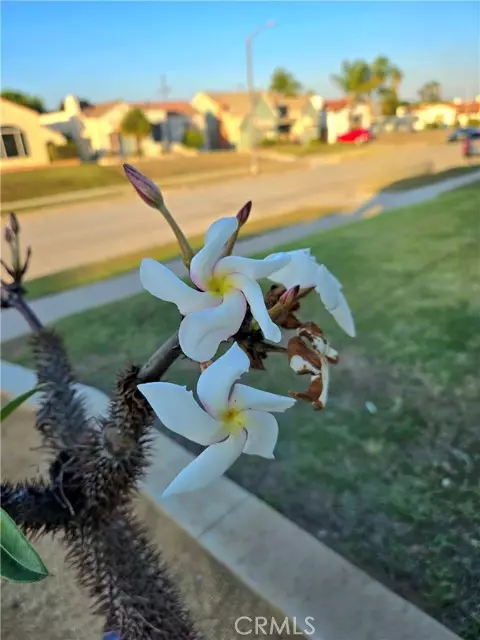 Los Angeles, CA 90047,2022 W 75th ST