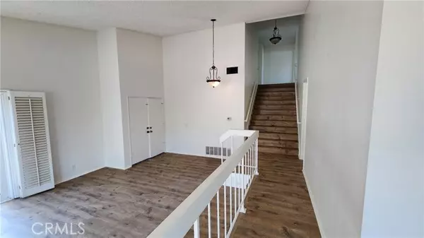 Irvine, CA 92604,23 Blazing Star