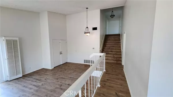 Irvine, CA 92604,23 Blazing Star