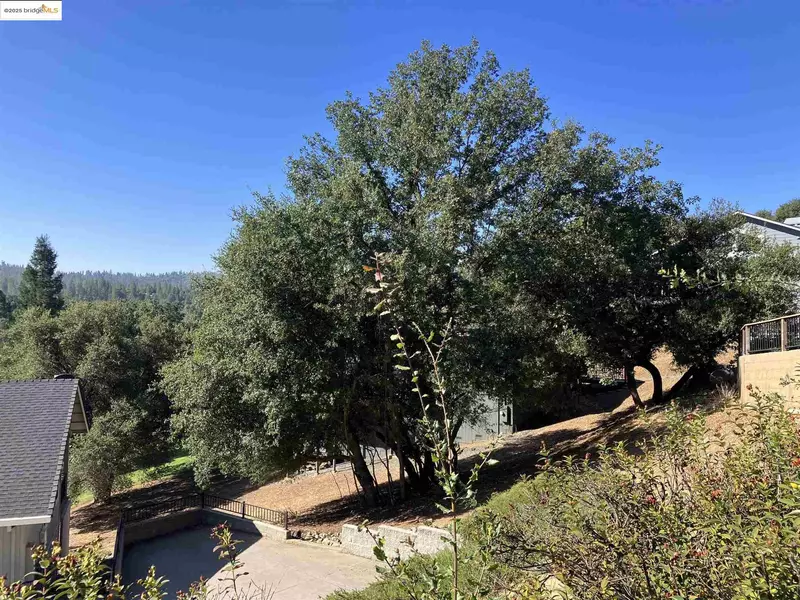 U5LOT8 SEAN PATRICK, Groveland, CA 95321