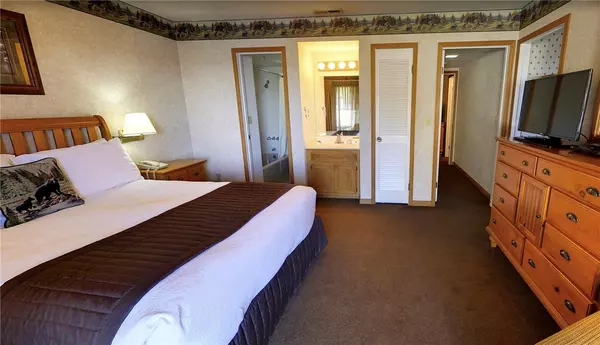 Big Bear Lake, CA 92315,183 Lagonita LN