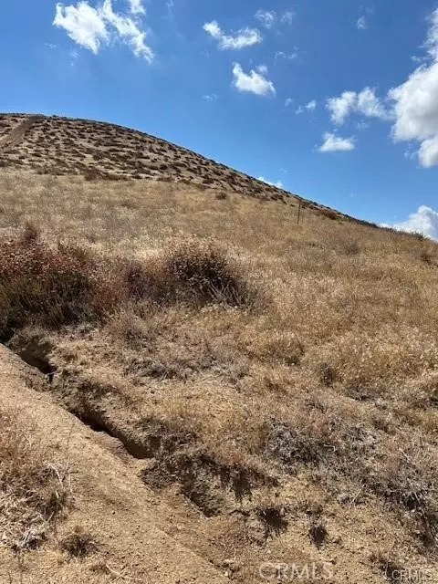 Acton, CA 93510,0 Tuckerway RNCH