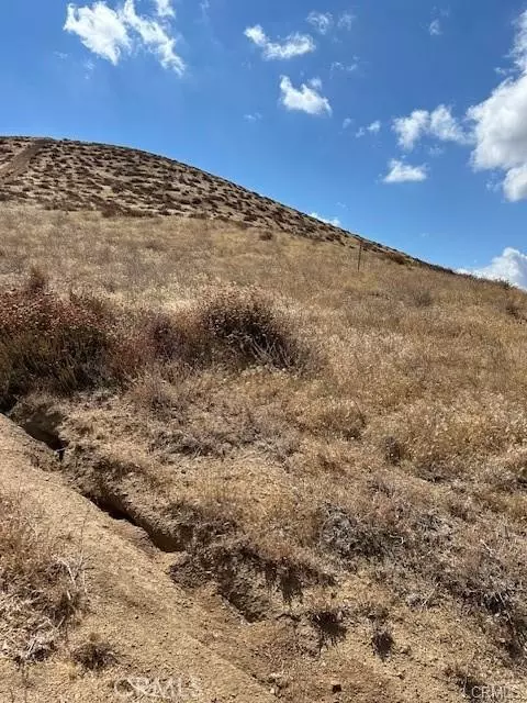 Acton, CA 93510,0 Tuckerway RNCH