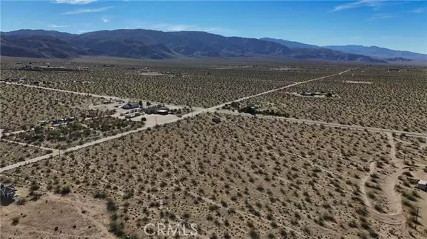 Johnson Valley, CA 92285,779 Quailbush