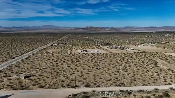 Johnson Valley, CA 92285,779 Quailbush