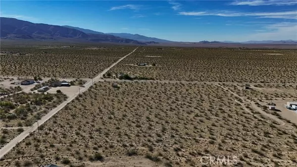 Johnson Valley, CA 92285,779 Quailbush