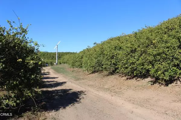 Somis, CA 93066,4363 Sand Canyon RD