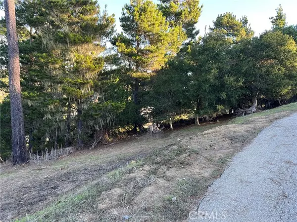 Cambria, CA 93428,3235 Rogers