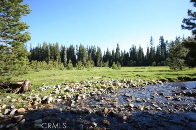 Bass Lake, CA 93604,10 AC Beasore RD