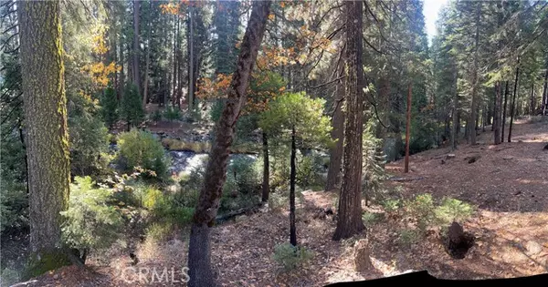 Butte Meadows, CA 95942,21720 Lucas RNCH