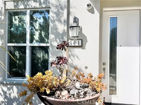 Irvine, CA 92618,101 Fixie