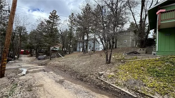 Arrowbear, CA 92382,707 Blue Bird Ln