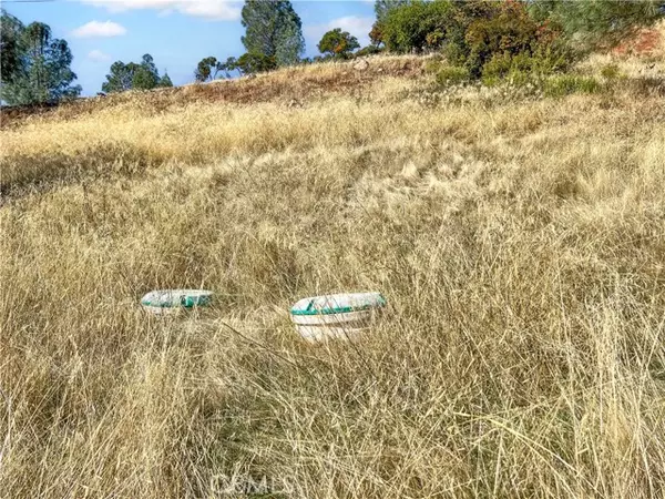 Kelseyville, CA 95451,10203 El Capitan