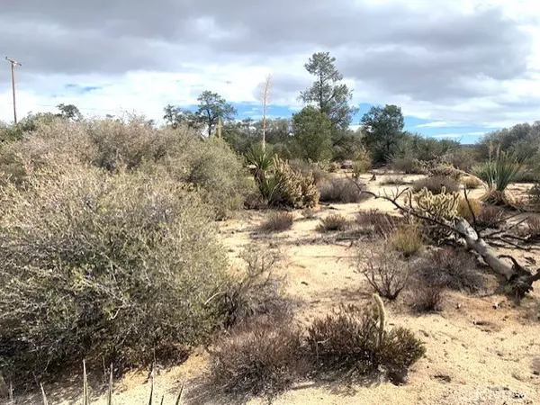 Mountain Center, CA 92561,368 Palm Canyon DR