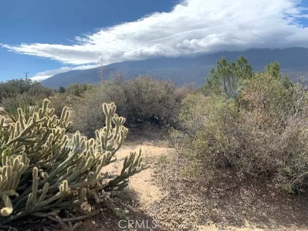 Mountain Center, CA 92561,368 Palm Canyon DR