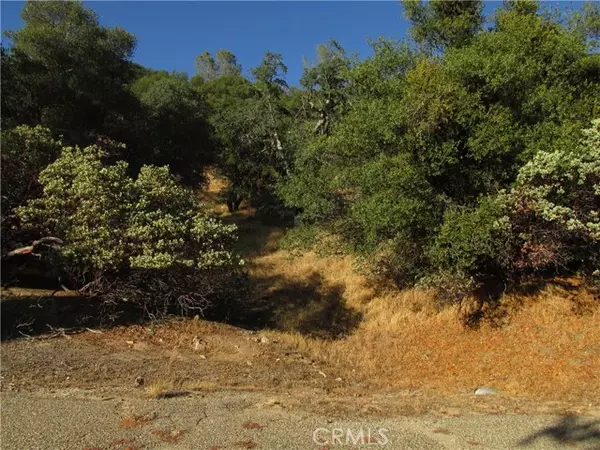North Fork, CA 93643,2 Ac Old Oaks CT