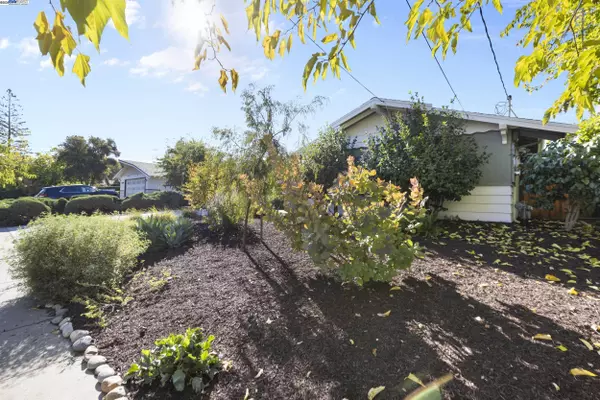 Concord, CA 94521,5490 Wilke Dr